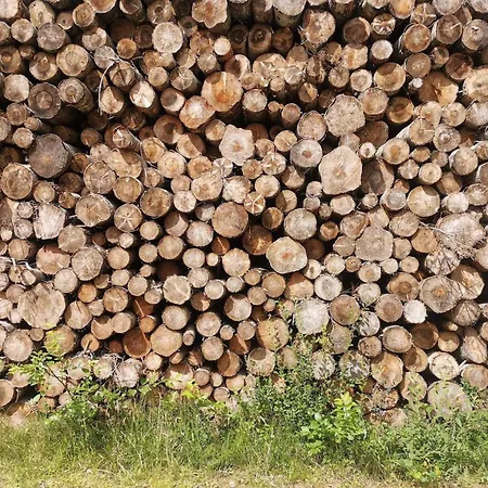 6 Person In Laeso-by Traum Laeso