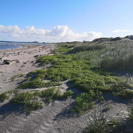 6 Person In Laeso-by Traum * Laeso