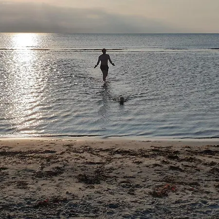 בית נופש 6 Person In Laeso-by Traum