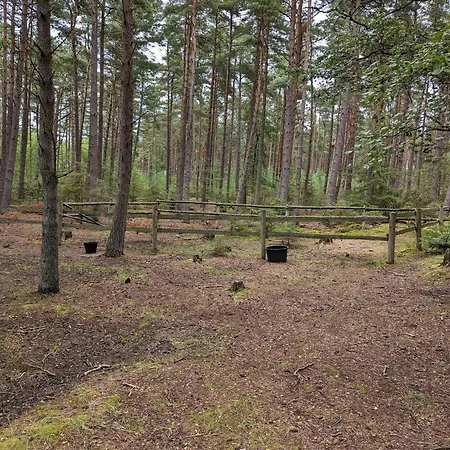 6 Person In Laeso-by Traum *